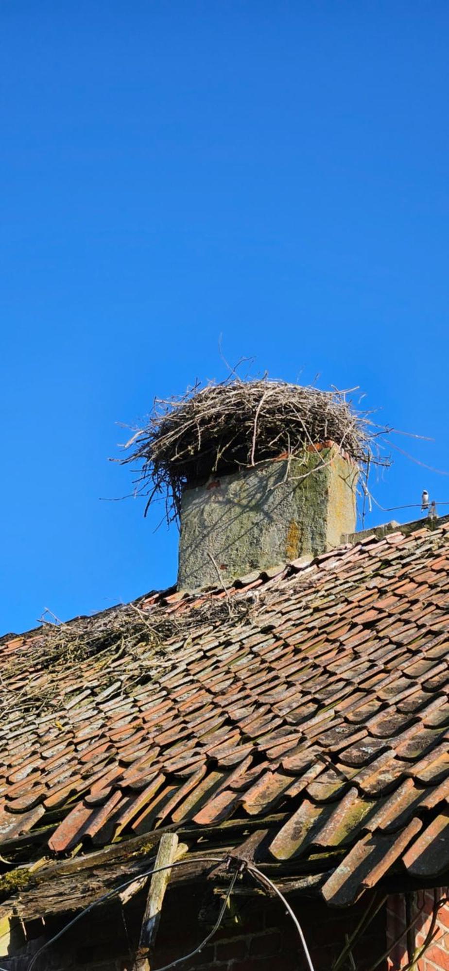 Oliwkowe Jerzykowo -Klimatyzacja Radzieje Exterior foto