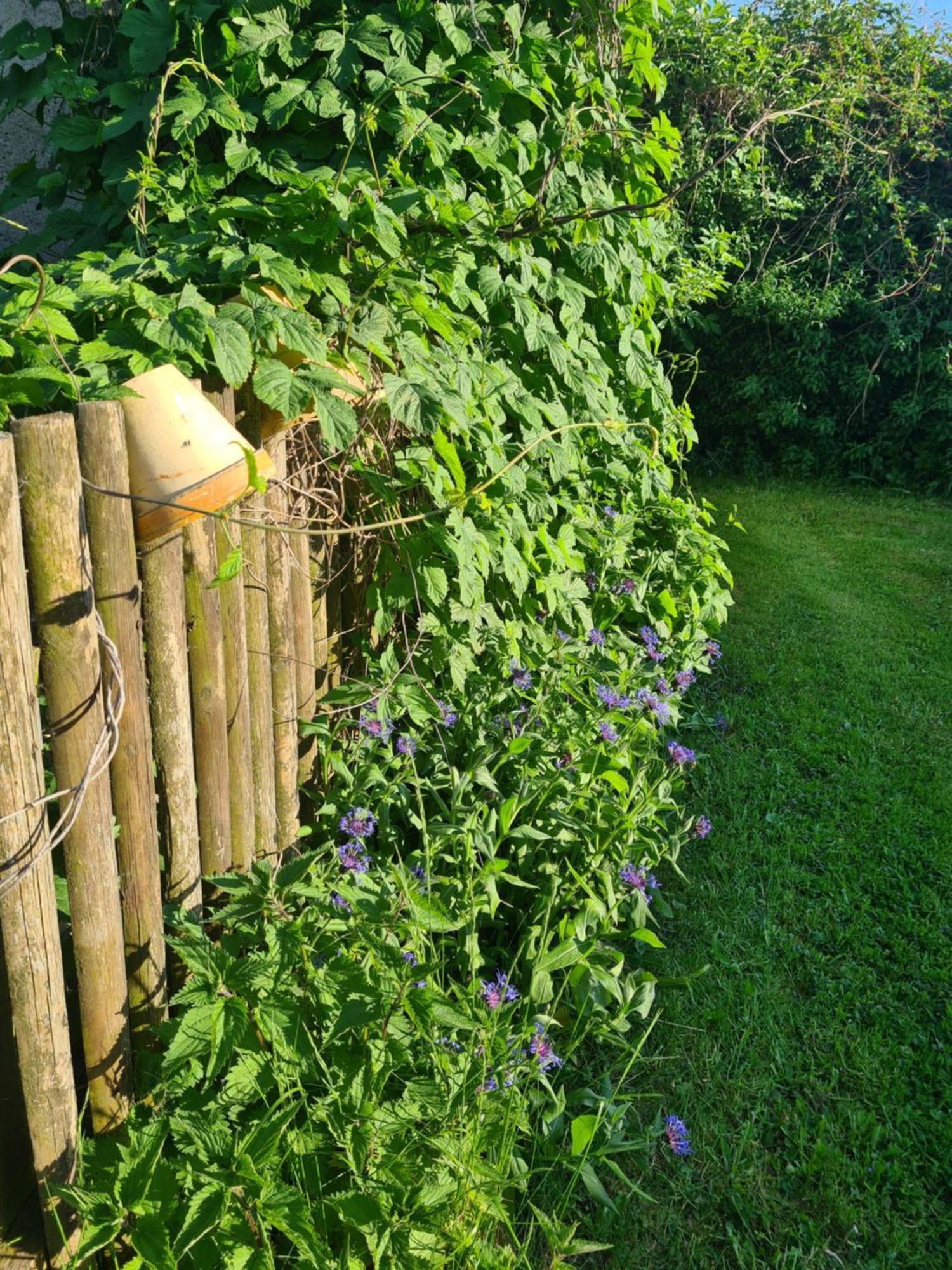 Oliwkowe Jerzykowo -Klimatyzacja Radzieje Exterior foto